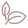 icons8-natural-food-100